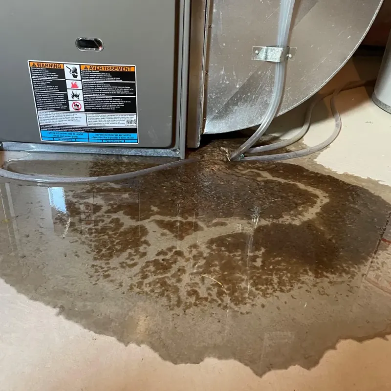 Appliance Leak Cleanup in Broken Arrow, OK